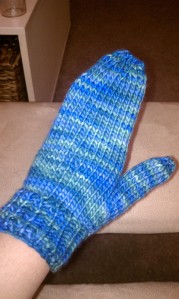 One Mitten for ME!